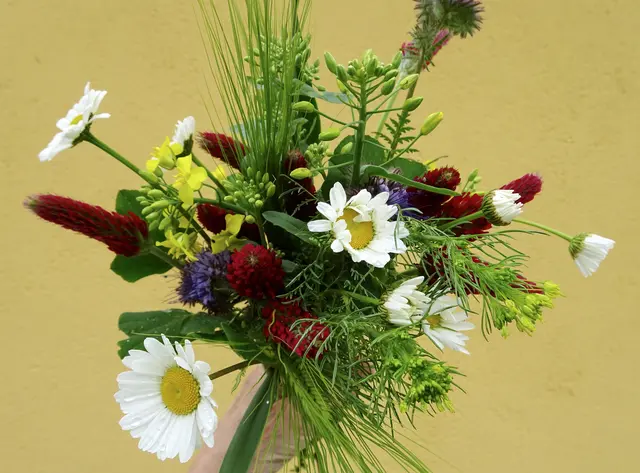 Gratulationen zum 85. Geburtstag in der Gemeinde Wieselburg-Land | Foto: Franziska Dostal