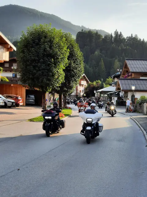 Foto: Braun