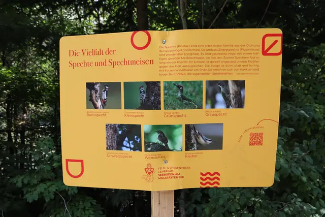 Zwei Tafeln wurden am vergangenen Wochenende beschädigt. | Foto: MeinBezirk.at