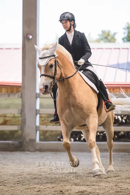 Foto: Sebastian Frank Fotografie