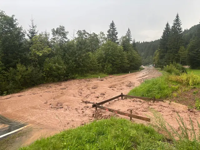 Foto: Feuerwehr Leogang