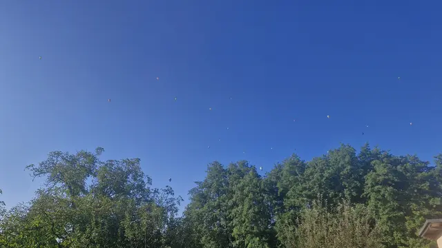 Foto: Florian Auer - Fotoschnappschuss.com