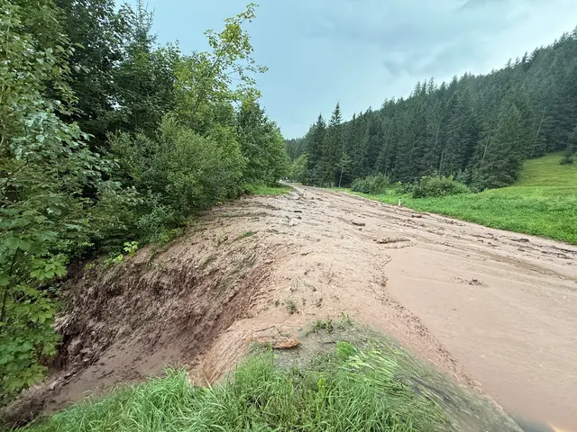 Foto: Feuerwehr Leogang
