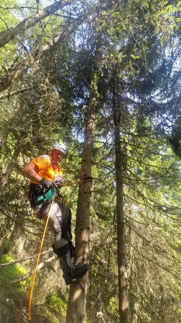 Bergretter kletterten in die Baumkrone um den Schirm zu bergen. | Foto: Bergrettung Bischofshofen