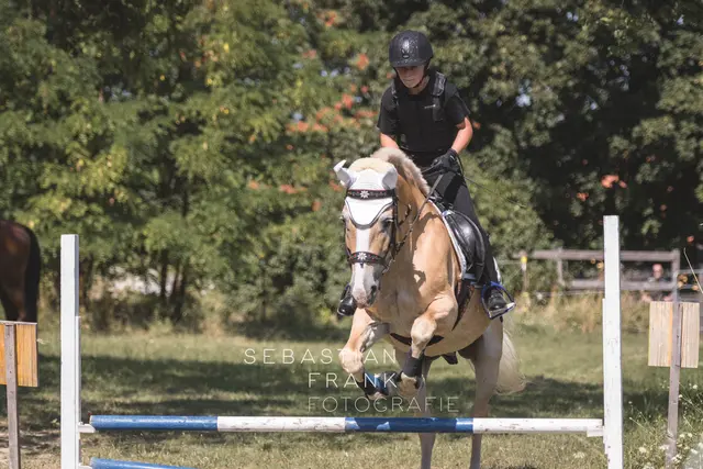 Foto: Sebastian Frank Fotografie