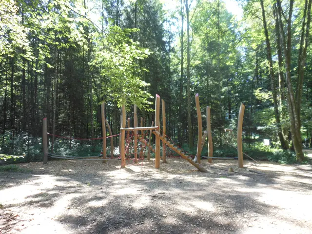 Der Motorikpark in der Gemeinde Schalchen. | Foto: Gemeinde Schalchen