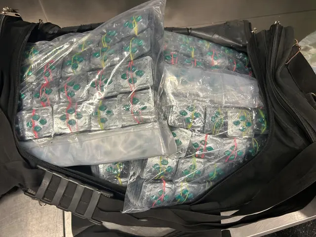 Illegaler Medikamentenfund am Flughafen: Eine Reisende soll versucht haben, rund 25.000 Pillen zu schmuggeln. | Foto: BMF/ZAÖ