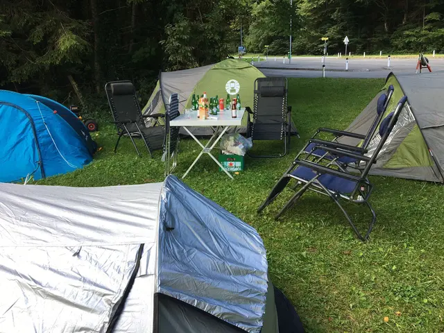 Foto: Gerhard Gschwendtner