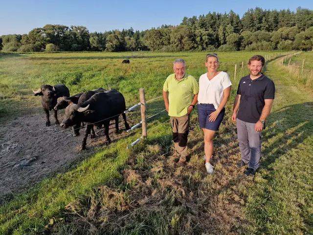 Von links: Wolfgang Sollberger, Anita Gstöttenmayr und Andreas Abfalter. | Foto: Gemeinde Leopoldschlag