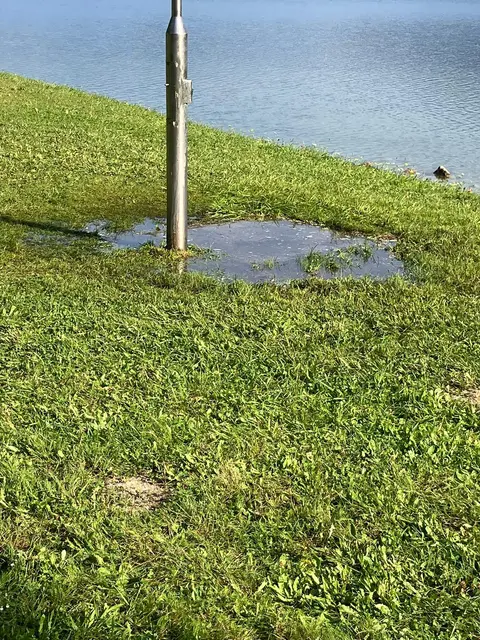 Foto: Gerhard Gschwendtner