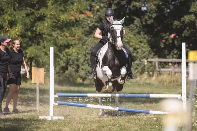 Foto: Sebastian Frank Fotografie