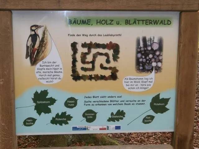 Foto: Gemeinde Schalchen