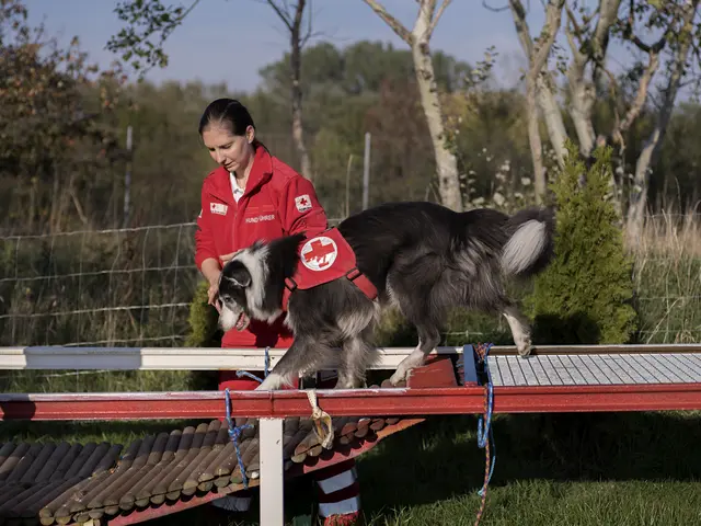 Beim Familienfest vom Roten Kreuz Wien erhält man spannende Einblicke in deren Arbeit. | Foto: Gianmaria Gava/ÖRK