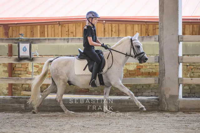 Foto: Sebastian Frank Fotografie