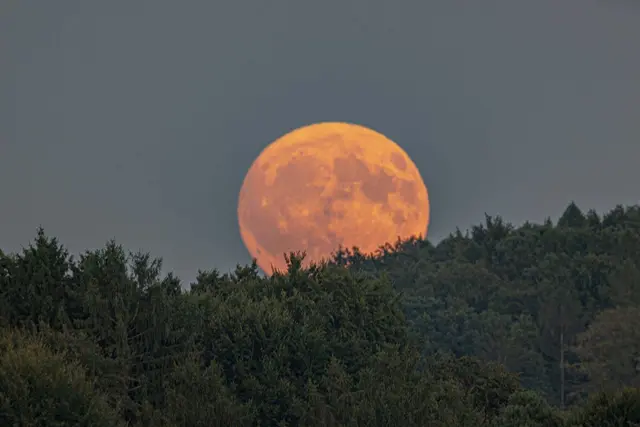 Mond über Wald | Foto: Günter Kleinschuster