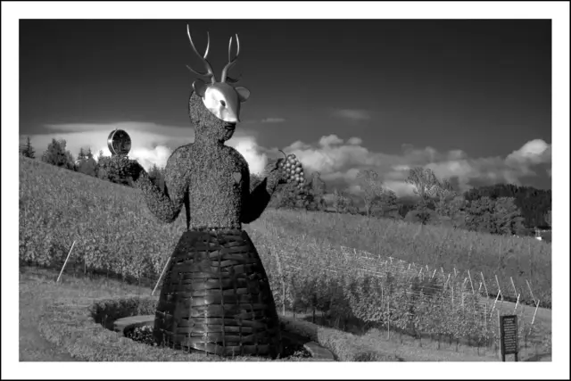 Bild 5032 - Zeitgöttin von Andrè Heller unterhalb von Burg Taggenbrunn in Kärnten.  | Foto: © by Ing. Günter Kramarcsik