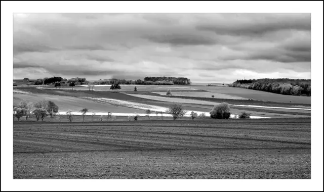 Bild 3496 - Waldviertel (NÖ) | Foto: © by Ing. Günter Kramarcsik