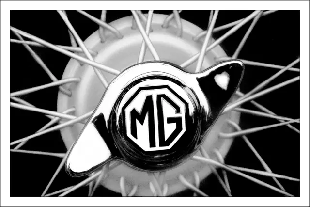 Bild 0075 - MG Radspeichen | Foto: © by Ing. Günter Kramarcsik