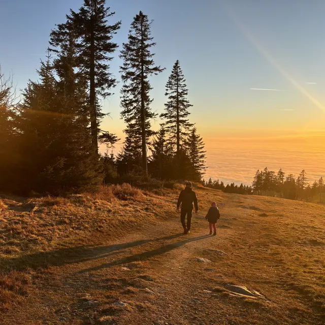 Wenn die Nebelzeit kommt, dann ist am Hochficht der beste Platz in der Sonne.  | Foto: Karin Bayr