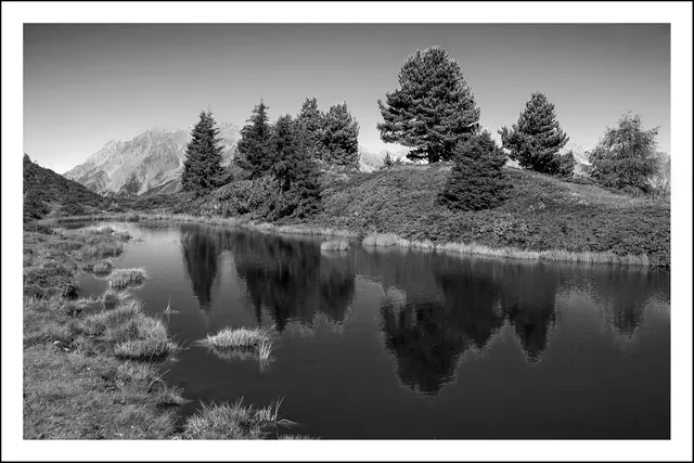 Bild 2189 - Lange Lacke (Krahberg Nordseite) | Foto: © by Ing. Günter Kramarcsik