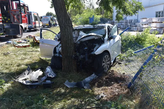 Foto: Thomas Lenger, Monatsrevue