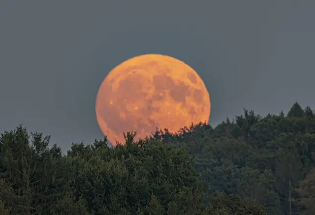 Vollmond | Foto: Günter Kleinschuster