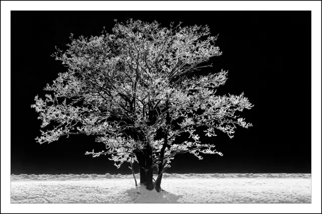 Bild 0115 - Raureif zwischen Silz und Mötz | Foto: © by Ing. Günter Kramarcsik