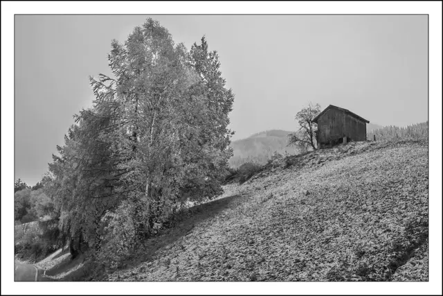 Bild 9637 - nach leichten ersten Schneefall bei Tobadill  | Foto: © by Ing. Günter Kramarcsik