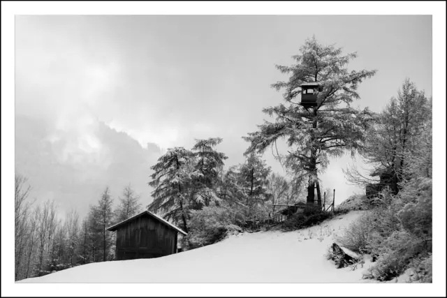 Bild 1718 - zwischen Fiss und Ladis | Foto: © by Ing. Günter Kramarcsik