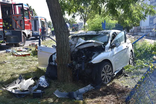 Foto: Thomas Lenger, Monatsrevue