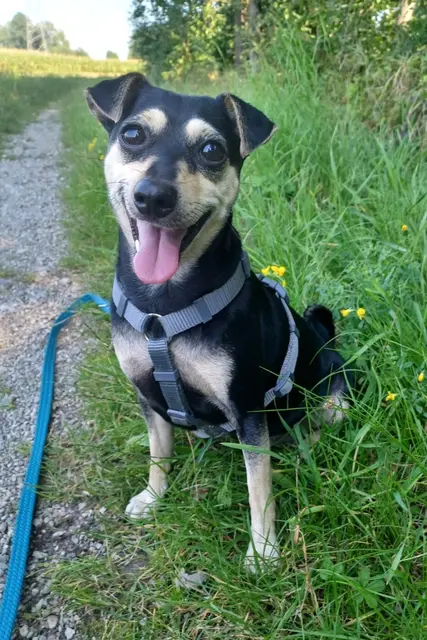 Die kleine Emily ist eine echte Prinzessin, die man einfach lieb haben muss. | Foto: Arche Wels