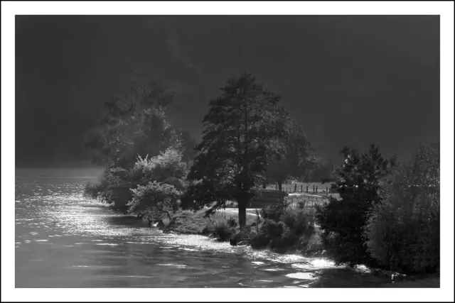 Bild 9637 - Donauufer bei Niederranna (im Mühlviertel OÖ) | Foto: © by Ing. Günter Kramarcsik