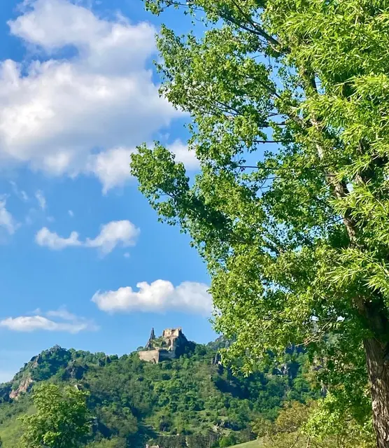 Geschichte, Kultur und Natur | Foto: em