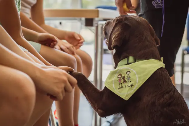 Die Rettungshunde NÖ sind für alle im Einsatz. | Foto: Karin Kuhn