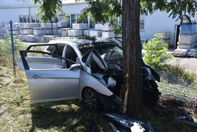 Foto: Thomas Lenger, Monatsrevue