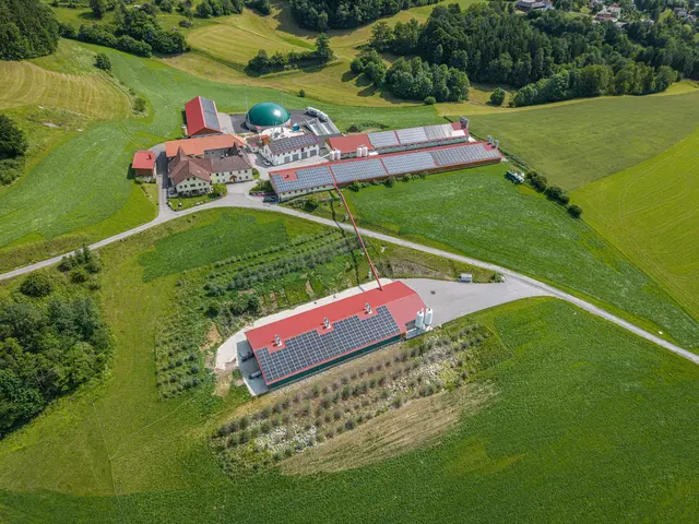 Blick auf die Firma Holzmann mit der neuen Biogasanlage. | Foto: Holzmann