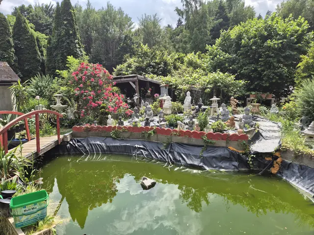 Foto: Manuela Gollner