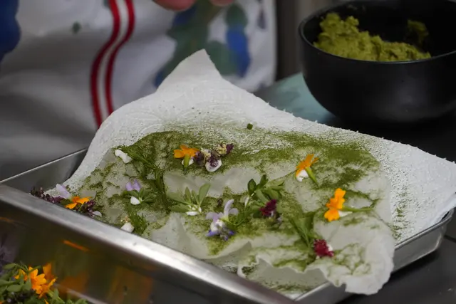 Foto: Johannes Brandner