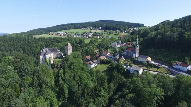 Rund 27 Prozent der Fläche des Bezirks Schärding sind Wald. | Foto: Gemeinde Vichtenstein