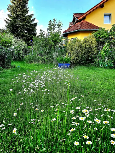 Foto: Hannelore Soltys