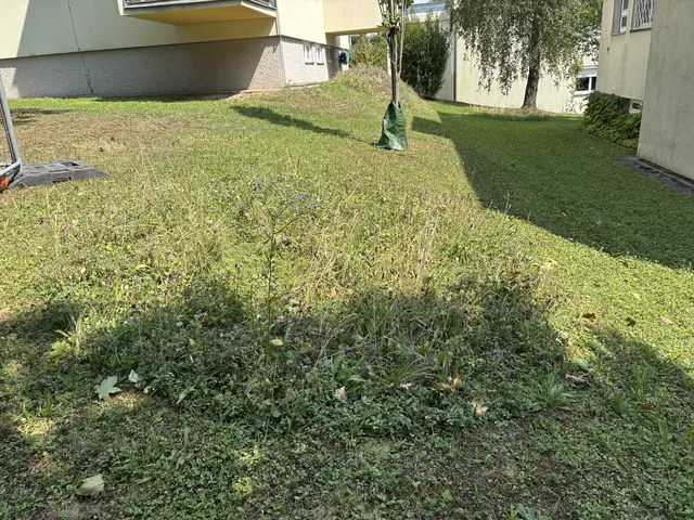 Foto: Ipirotis/MeinBezirk