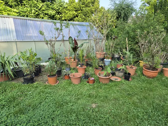 Foto: Manuela Gollner