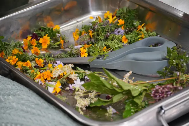 Foto: Johannes Brandner