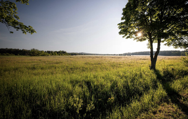 Die Region Kampseen lädt zum Wandern ein. | Foto: Gut Ottenstein