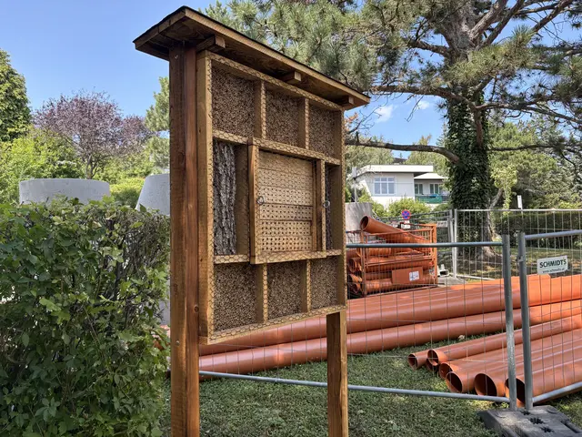 Foto: Ipirotis/MeinBezirk