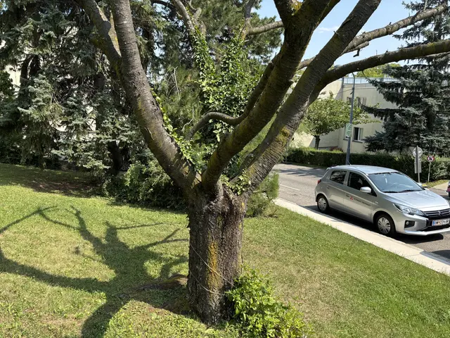 Foto: Ipirotis/MeinBezirk