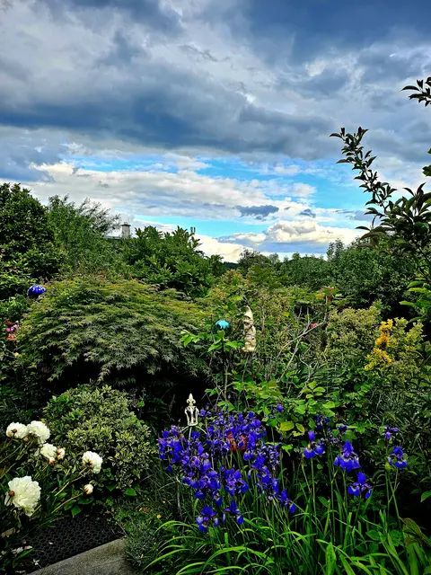 Schick auch du uns deine Fotos mit Bezirk und Kurzbeschreibung an graz@meinbezirk.at (Betreff "MeinGarten"). | Foto: Hannelore Soltys