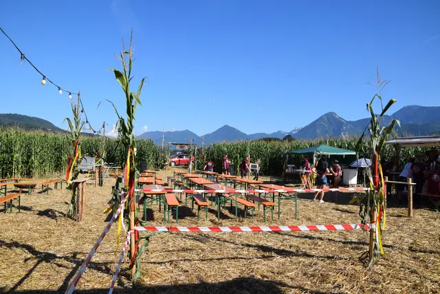 Die Hiefler-Party ist ein Open-Air-Event mitten im Maisacker. | Foto: Dorfgemeinschaft St. Jakob im Rosental