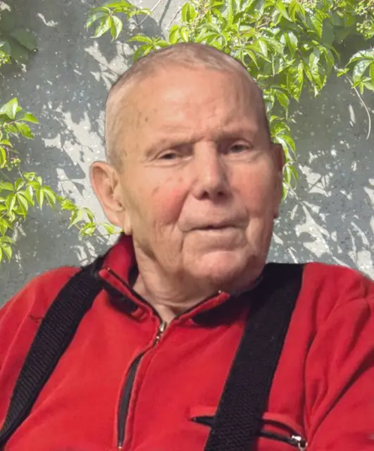 Todesfall: SCHARDENBERG: Karl Peham im 85. Lebensjahr | Foto: Peham
