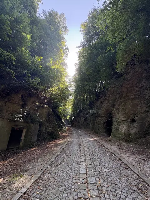 Der abwechslungsreiche Kellergröppenweg in Raab ist als Rundweg angelegt und rund 2,9 Kilometer lang.  | Foto: Gemeinde Raab